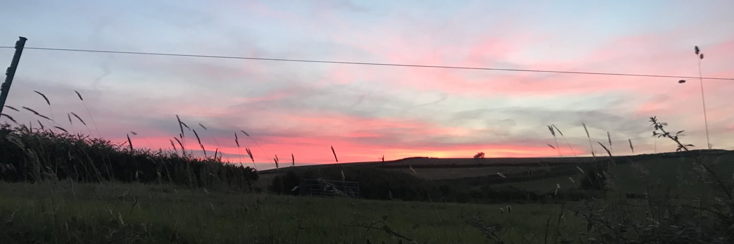 nataliewalsh22's profile banner image