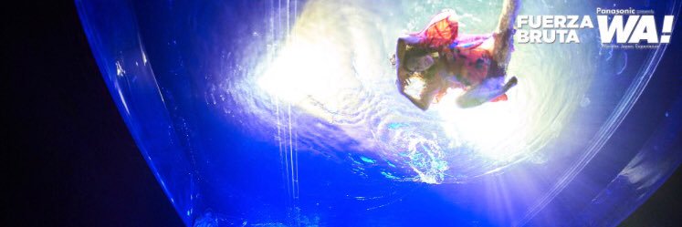 ma-ya banner
