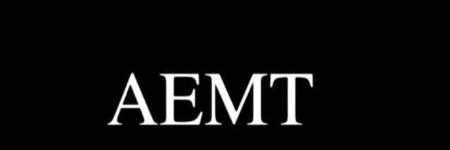 AEMT Management Group banner
