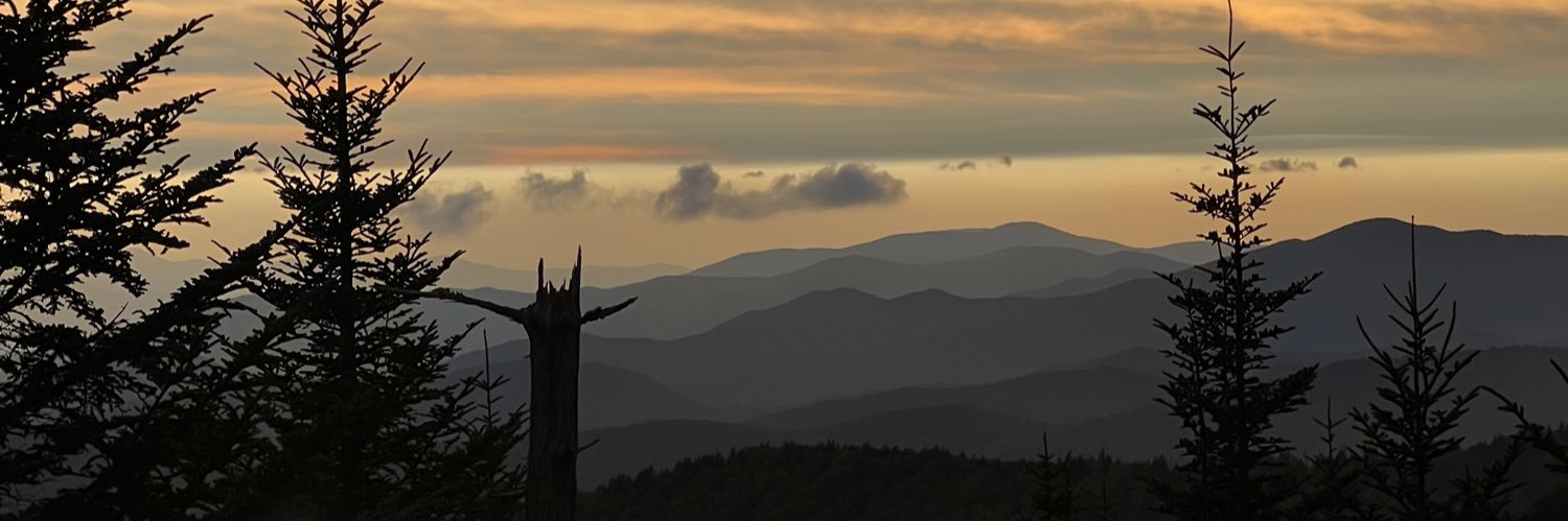 MSBE82's profile banner image