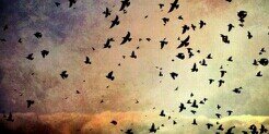 teeh_dias's profile banner image