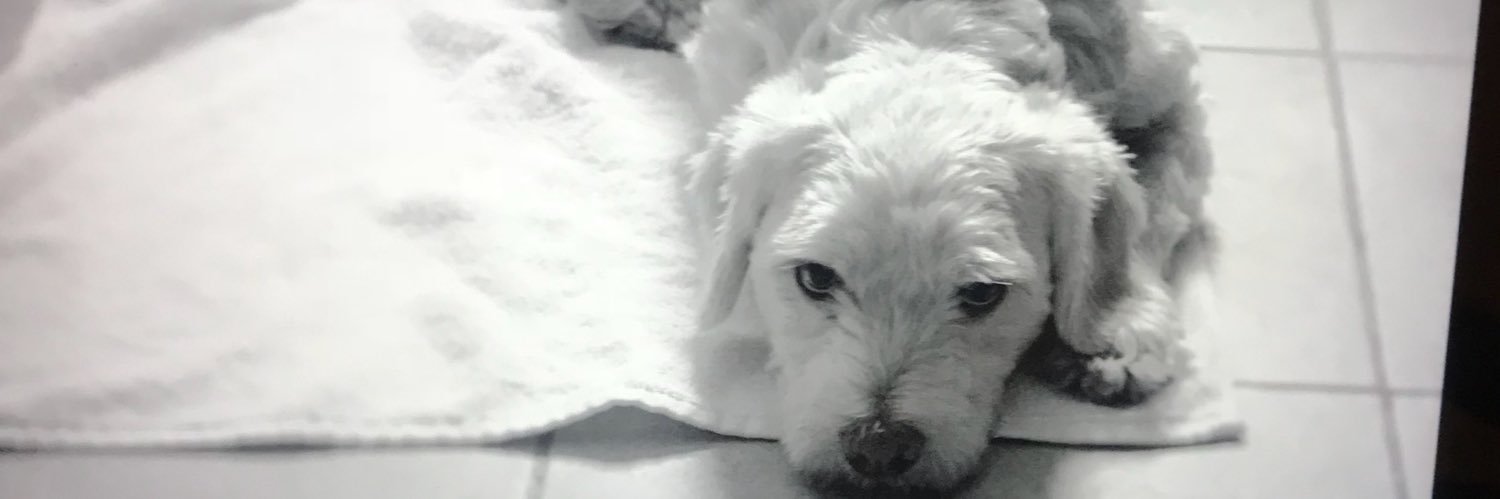 EmiliaDBolanos's profile banner image