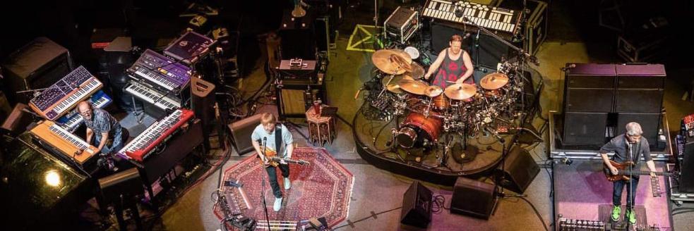 Face Plant into Rock🇺🇦 banner