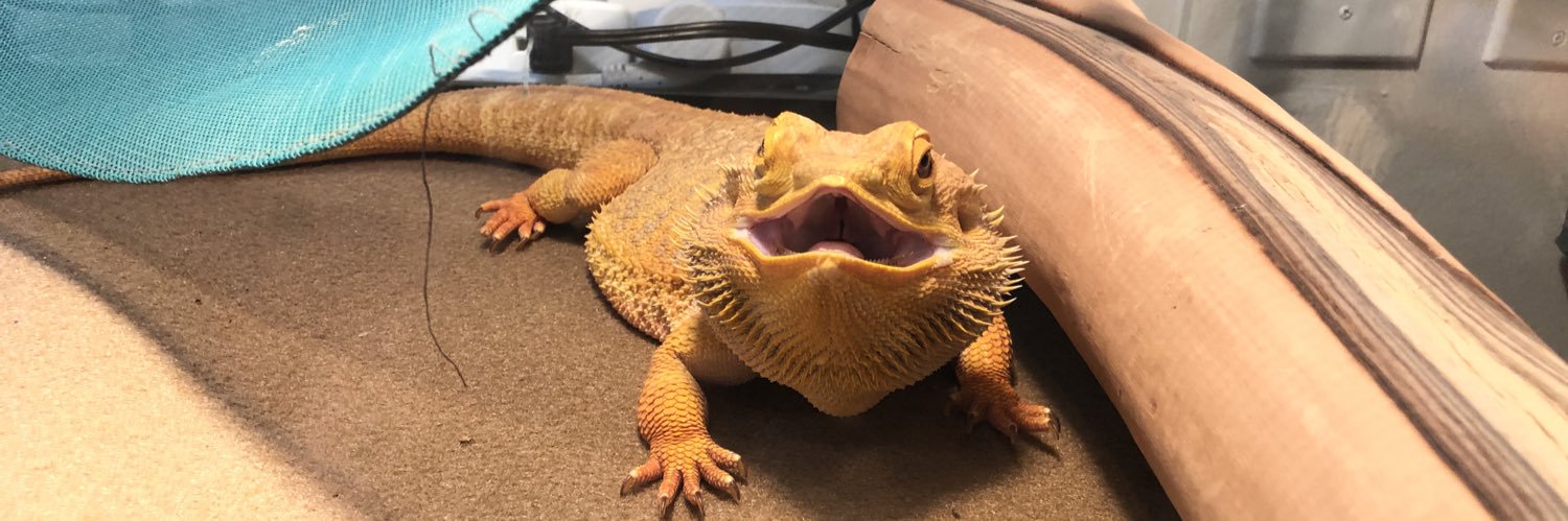 Mrs. K - 3rd Grade Teacher🤪 banner