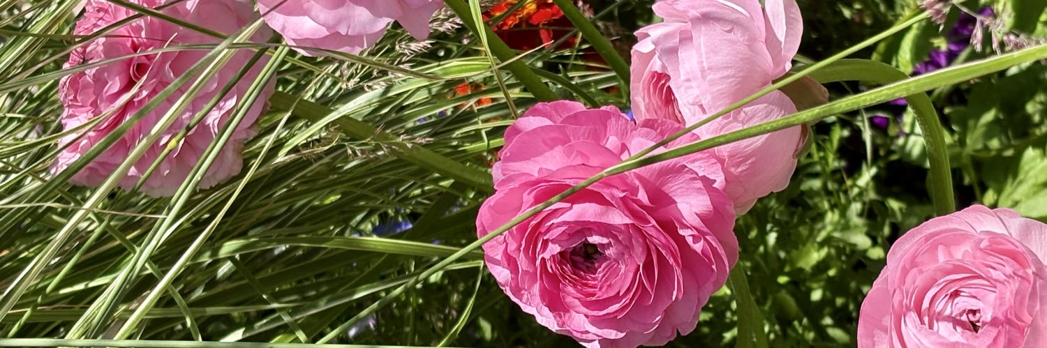 RhondaVuch's profile banner image