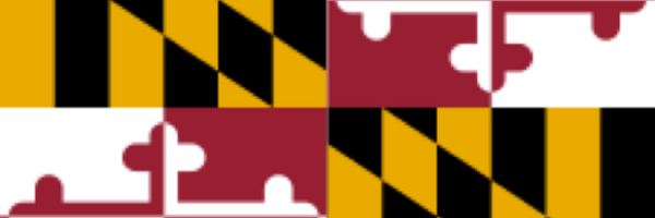 SEGefen Profile Banner