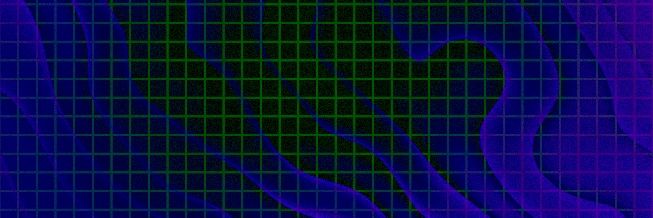 Tortue banner