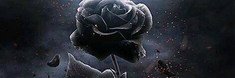 valentricardo1's profile banner image