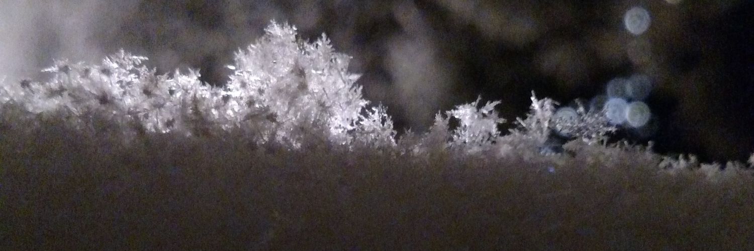 MasknFins's profile banner image
