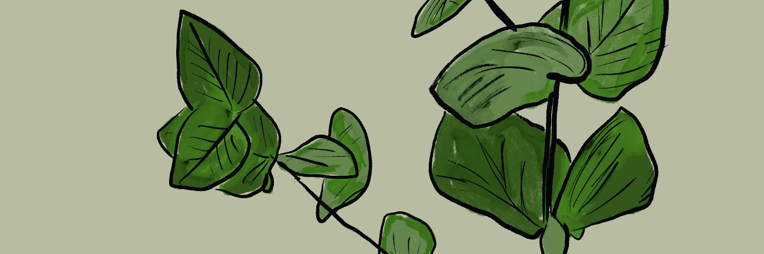 alibbatir's profile banner image