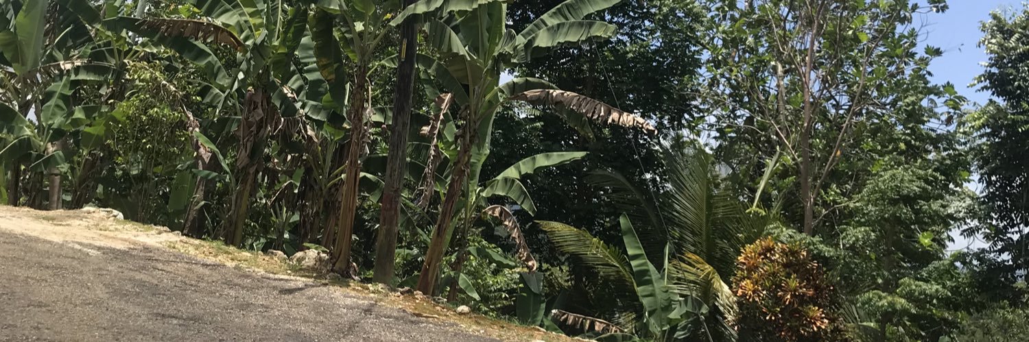 OneLynch's profile banner image