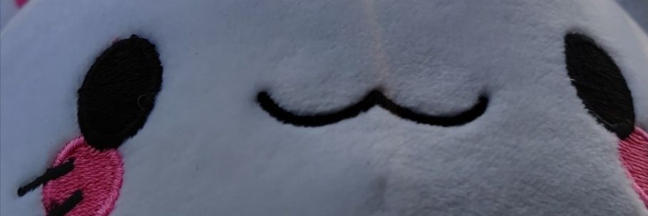 FlyingKittyy's profile banner image