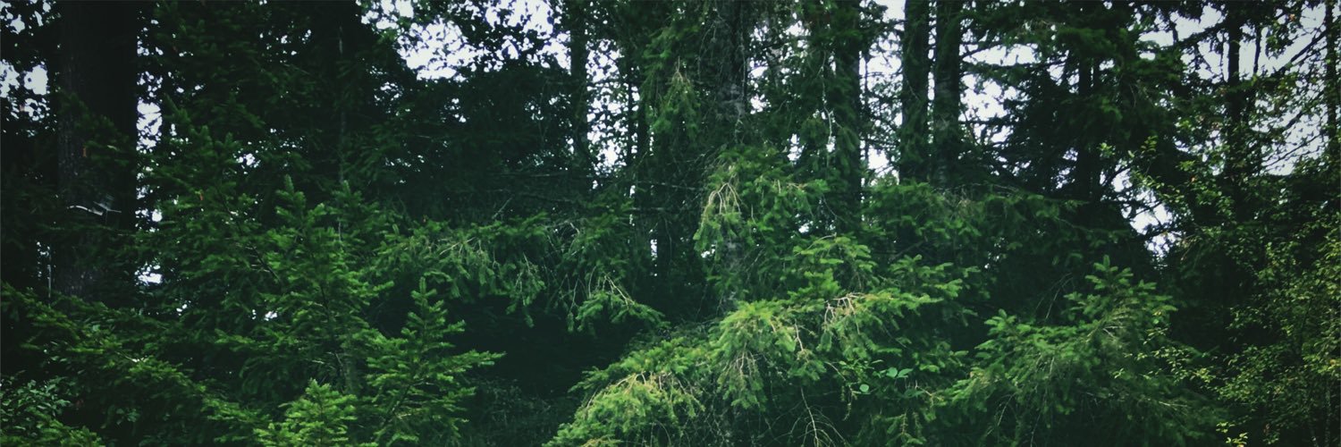 katherineYES's profile banner image