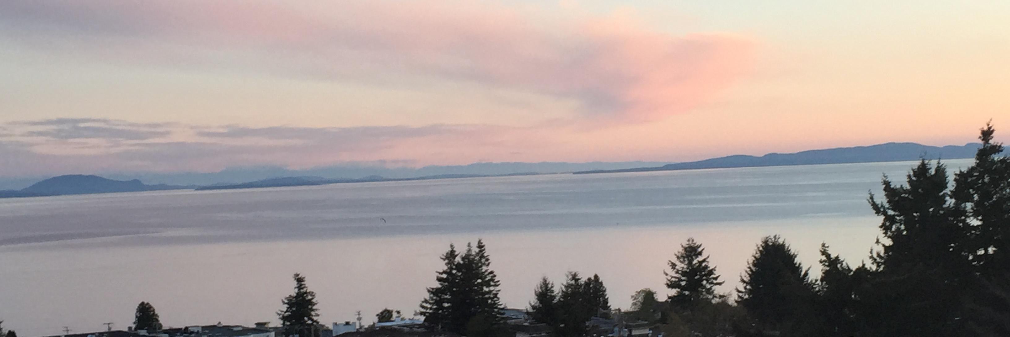 marniestrath's profile banner image