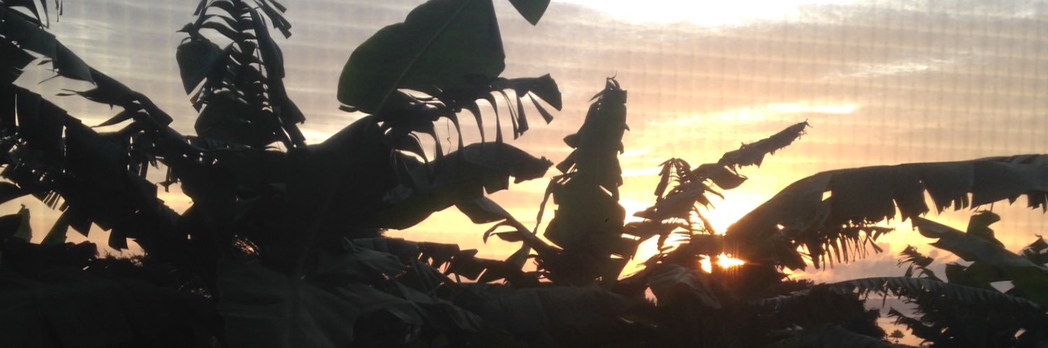 Celia Reddick @celia-reddick.bsky.social banner