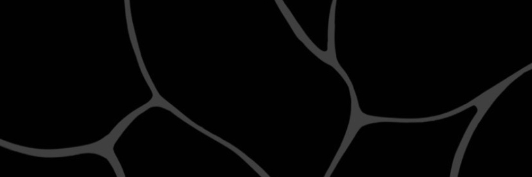 XaquinFdez's profile banner image