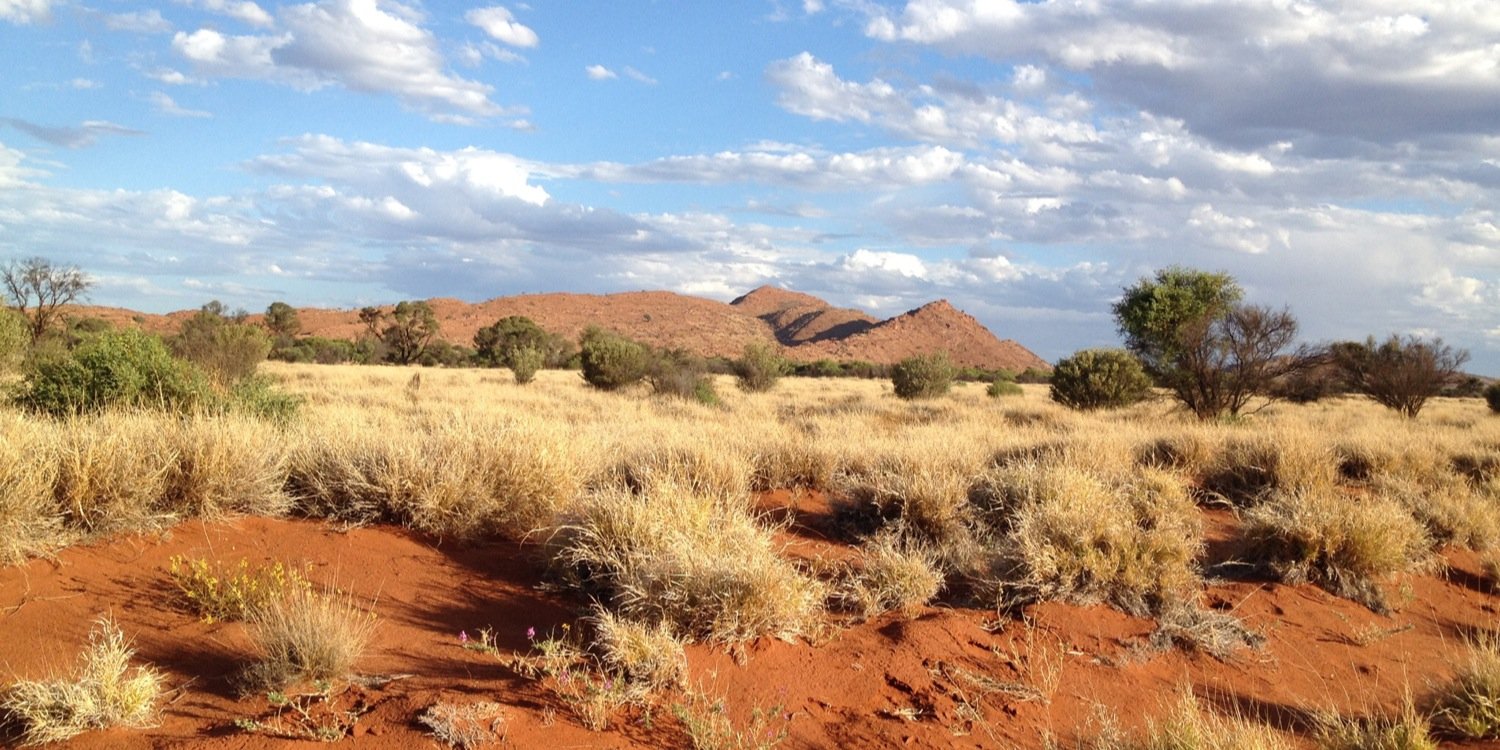 APY Lands banner