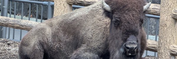 93BYR Profile Banner