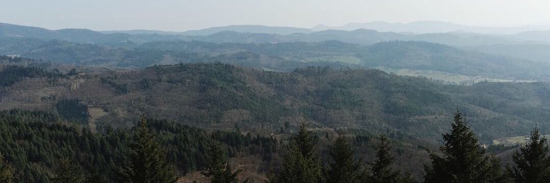 Luca Semeraro banner