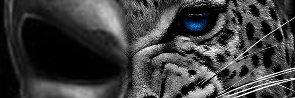 rishijlad4's profile banner image