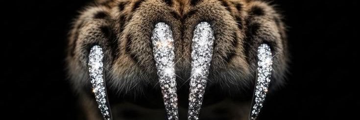 Dorian🏳️‍🌈♏️ banner