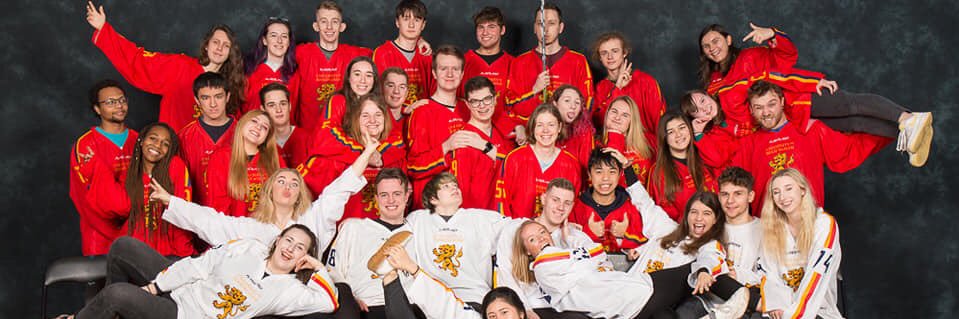 Birmingham Lions banner