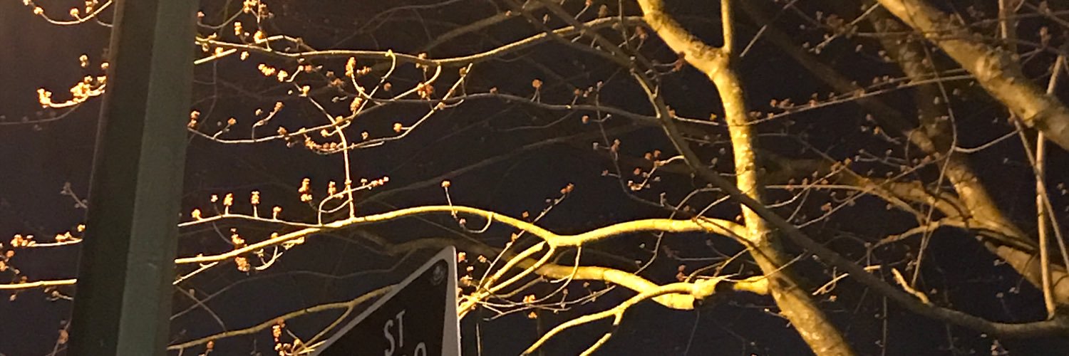 SheilaMatthen's profile banner image
