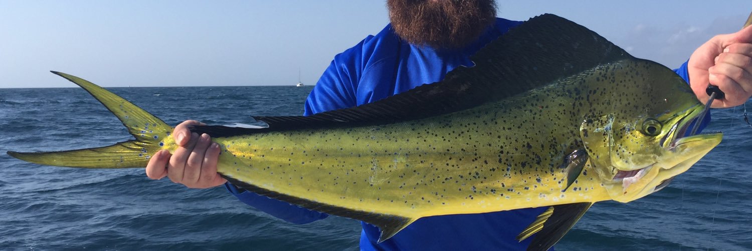 MiamiFishN's profile banner image
