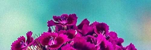 M_0_7_'s profile banner image