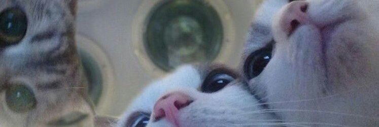 Liisr's profile banner image
