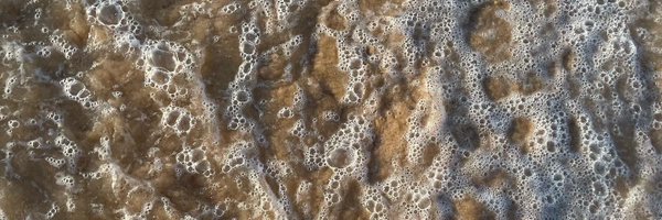 aisha_jamison Profile Banner