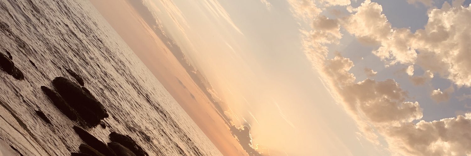 Elle Tee banner