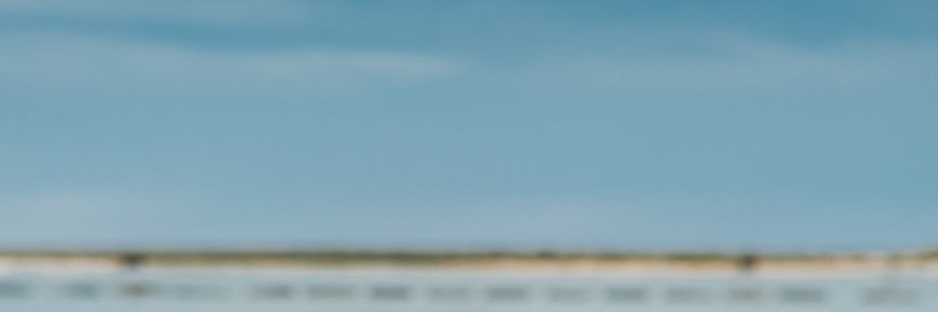 Samira Guerra banner