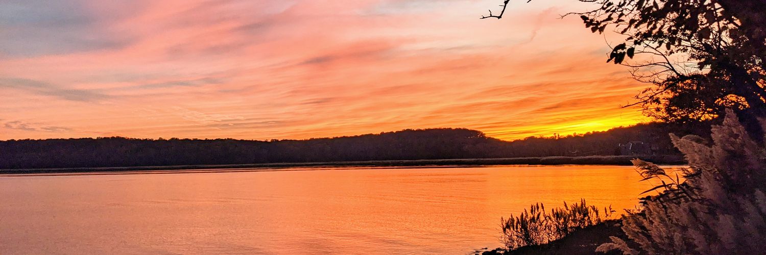 Absolute_Monarchi banner