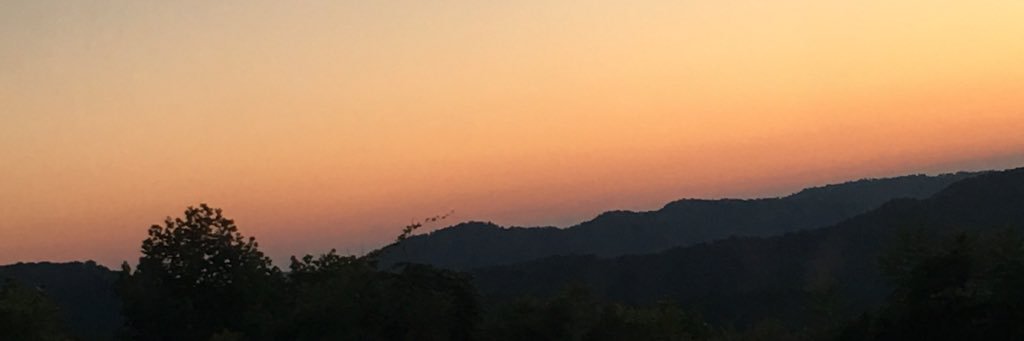 alyshawils's profile banner image