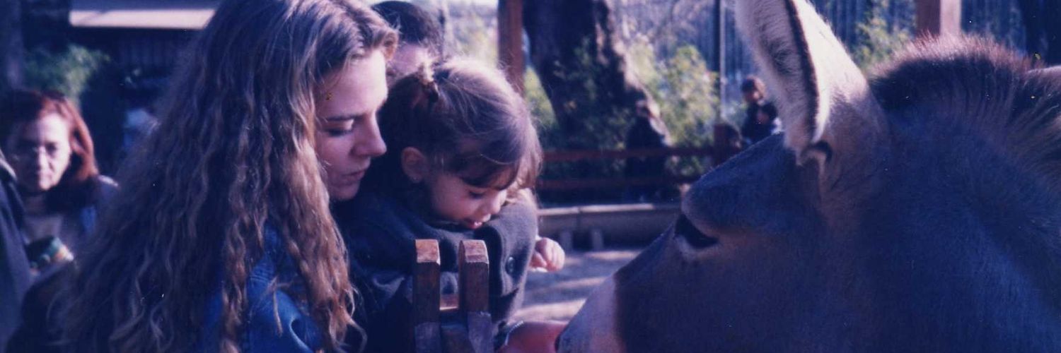 canderodriguezz's profile banner image