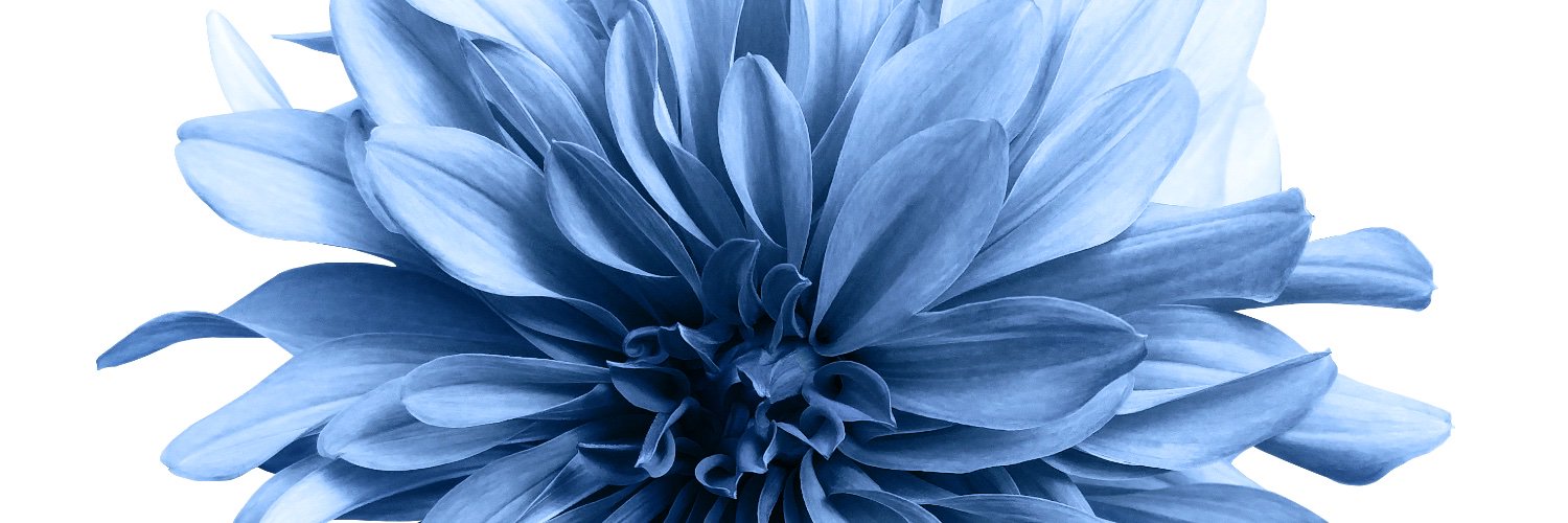 CathyEConnan's profile banner image
