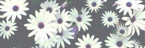 MichCalvin's profile banner image