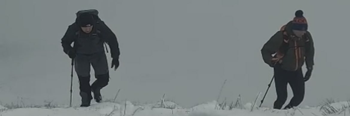 Dallymaly's profile banner image