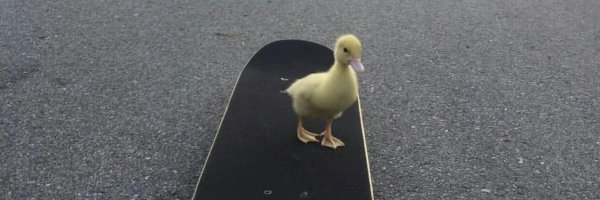 Coreano Profile Banner