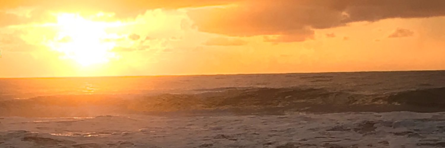 eukerol's profile banner image