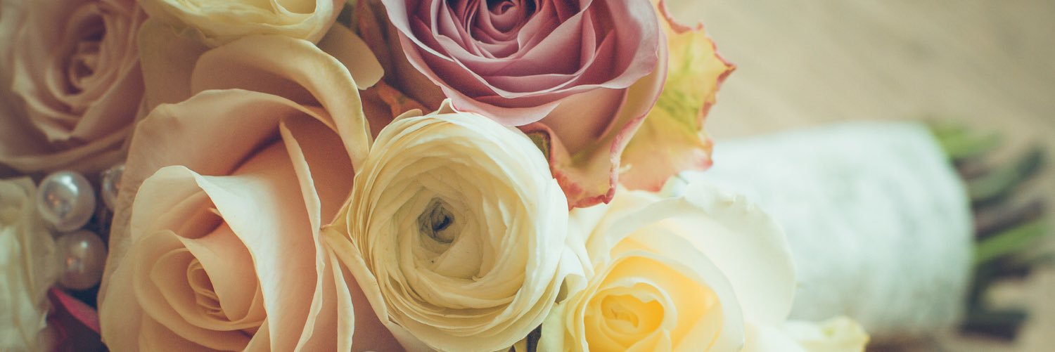 Marii0nS's profile banner image