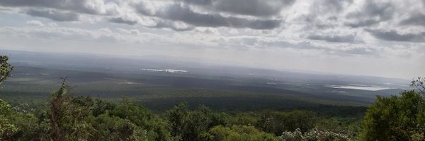 believinglee Profile Banner