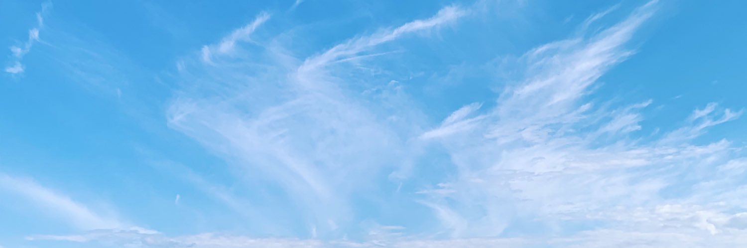 valelincec's profile banner image