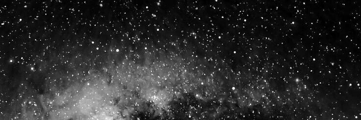 ntncyy's profile banner image