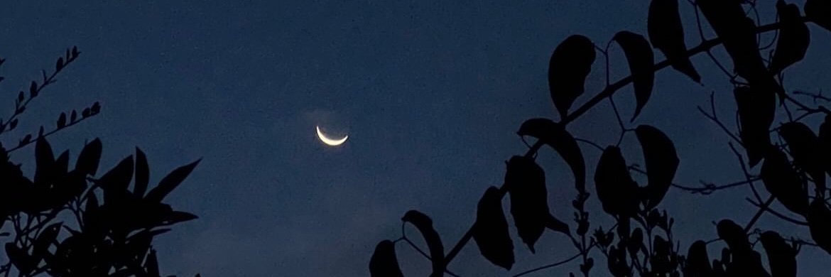 marcyhuana's profile banner image