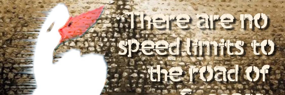 Duckonwheels's profile banner image
