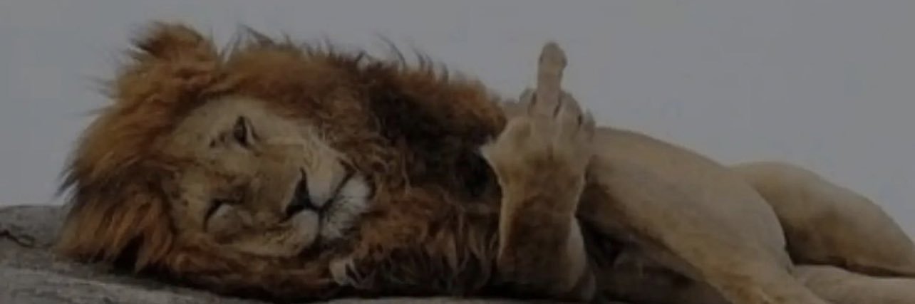 drakylerdatu's profile banner image