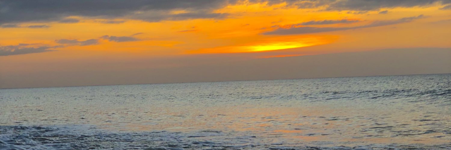 jopugal's profile banner image