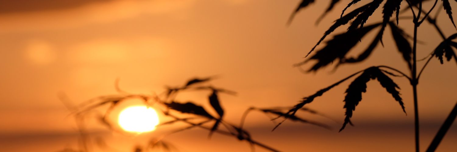 SamRalph7's profile banner image